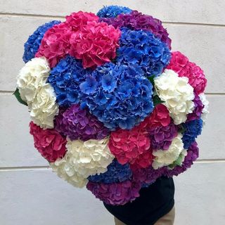 ramo hortensia variado 