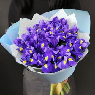 Букет із 35 фіолетових ірисів