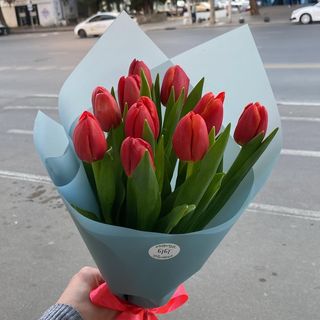 წითელი ჰოლანდიური ტიტების თაიგული (10 ტიტა)