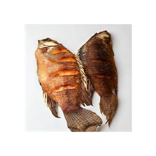 Tilapia