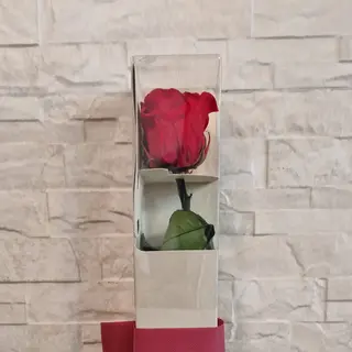 Rosa eterna roja