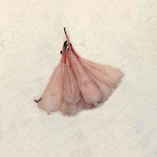 Colitas de rape minis (350 Gr.)