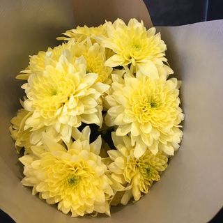 Bouquet Yellow Krys (2)