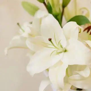 Ramo de Liliums Blancos. 6u
