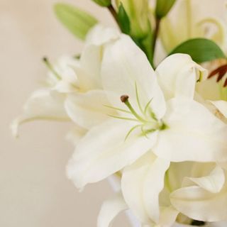 Ramo de Liliums Blancos. 6u