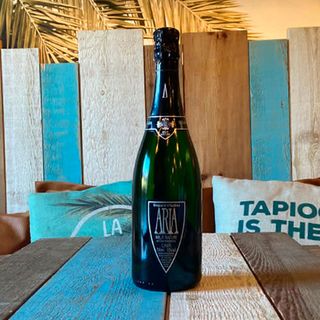 Segura Viudas Aria Brut Reserva - D.O. Cava (75 cl.)