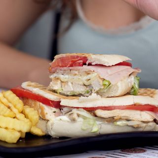 Campero de pollo especial