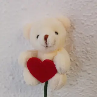 Osito Teddy