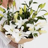 თეთრი ლილია (5 ცალი)