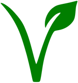 Ensalada De Queso De Cabra / Goats Cheese Salad