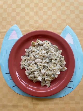 Tjestenina Piletina i Šampinjoni