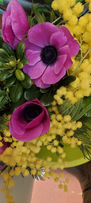 Bouquet di mimosa con anemoni