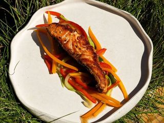 Стейк лосося на мангалі з овочами (225g)