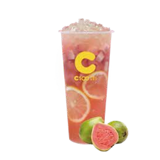 Psidium guajava tea