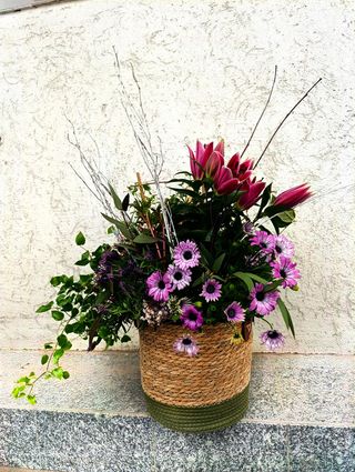 Aranjament mix plante de exterior
