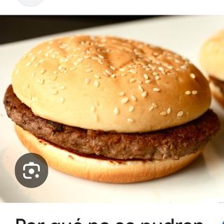 Hamburguesa Sola