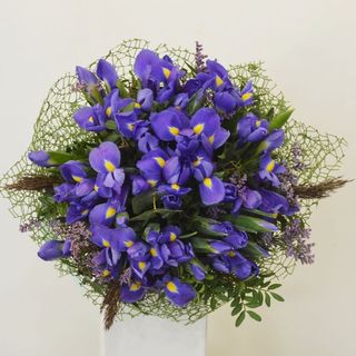 Buchet 41 irisi albastri