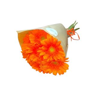 Gerberas Laranja