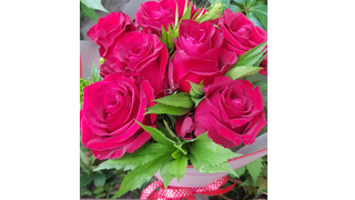 "Wyrazista Czerwień"