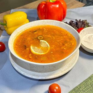 Солянка мясная сборная