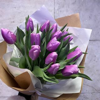 ტიტა იასამნისფერი 