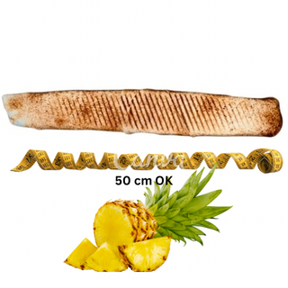 Rollo hawajskie Mega