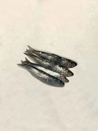 Sardina (400 Gr.)