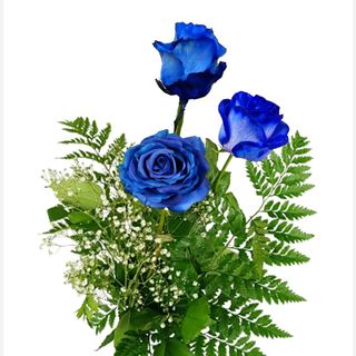 3 rose blu