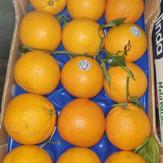 Arancie non trattate