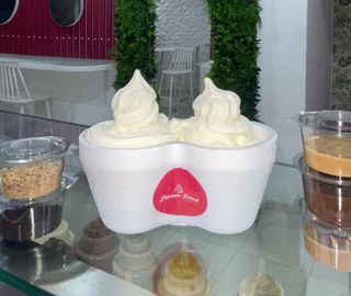 Yaourt Glacé Pot 1/2 Litre