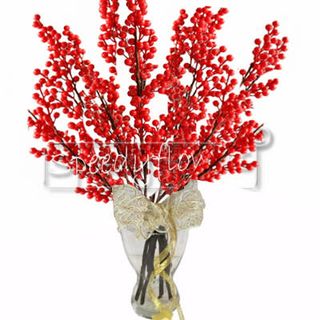 Ilex rosso