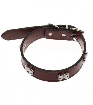 (154535) Ogrlica za pse 50x2,5cm P.YL24671-L