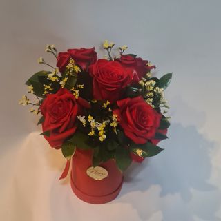 Kraljevske ruze u boxu