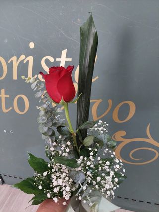 Ramo 1 Rosa Vermelha