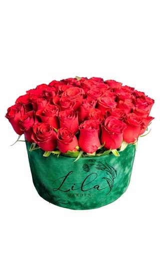 Cutie mare Trandafiri roșii