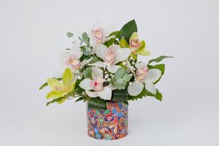 So elegant cu 7 orhidee