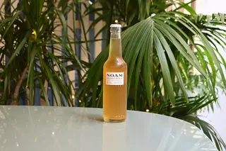 NOAM BEER