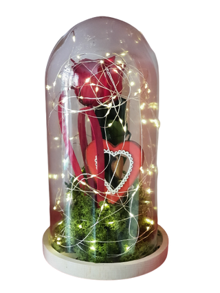 Rosa Eterna En Urna De Cristal