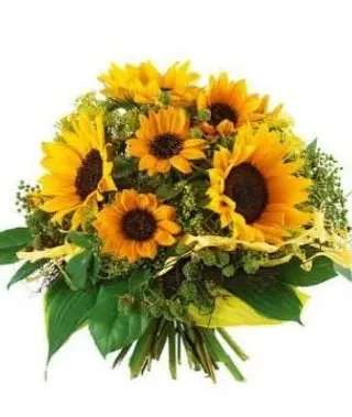 Ramo de 8 girasoles