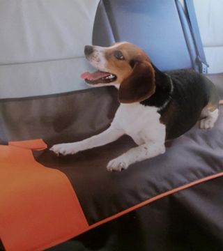 (154536) Auto podmetač za kućne ljubimce 135x80cm P.YF1505061-A