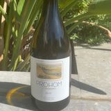 Prohom experientia criança