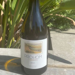 Prohom experientia criança