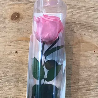 Rosa eterna por unidad rosada