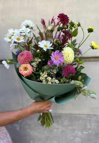 Ramo Horta de la Viola