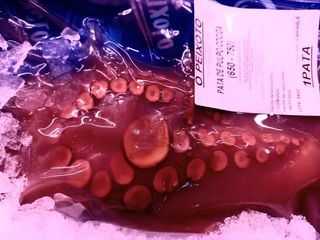Pata De Pulpo premium (1 ud.)