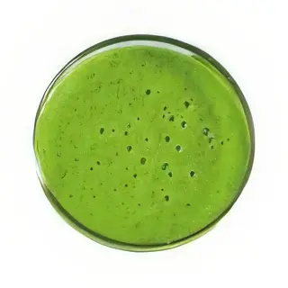 Jus D'avocat