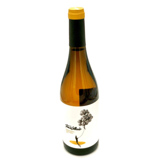 Finca Collado Blanco– Alicante, España 