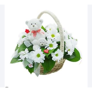 დათუნია კალათში