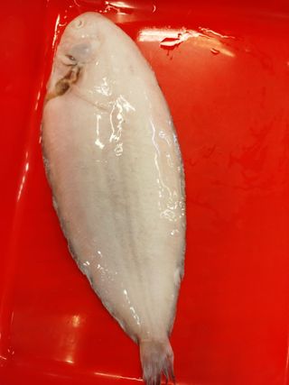 Sogliola intera eviscerata di Dover