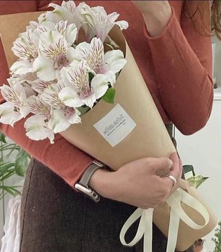 ალსტრომერია 